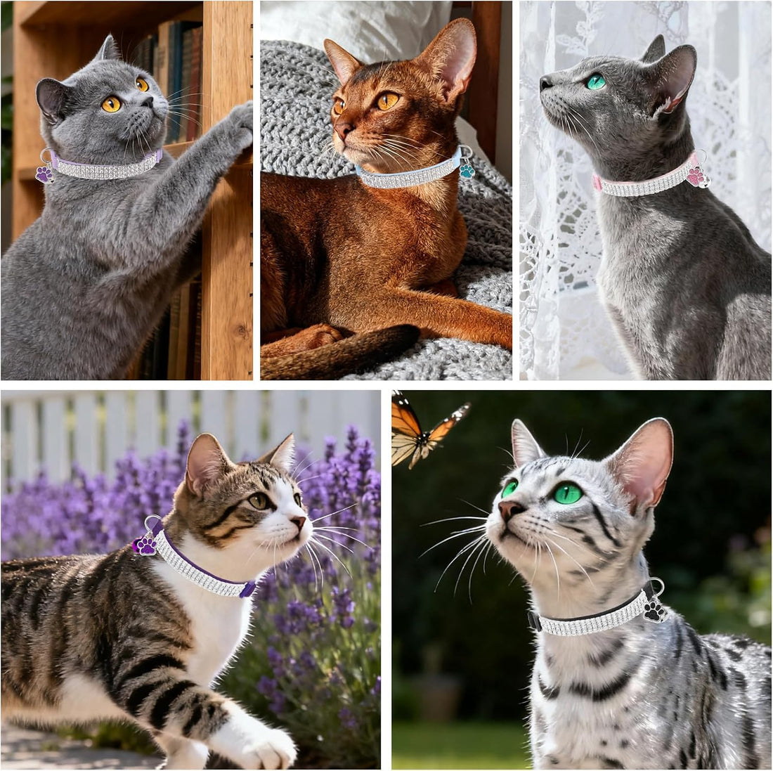 EXPAWLORER Soft Velvet Safe Cat Collars for Girl Cats -2 Pack