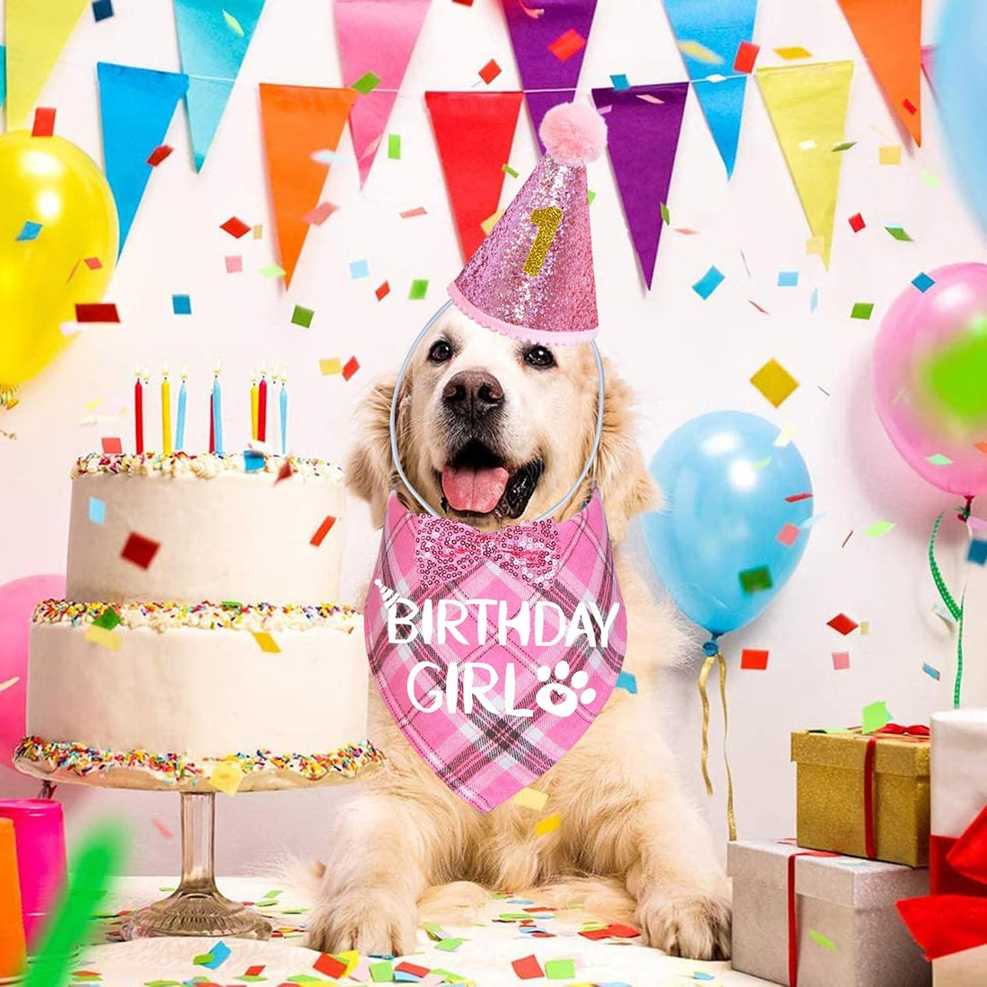 STMK Dog Birthday Outfits, Multi Size Dog Birthday Hat Dog Birthday