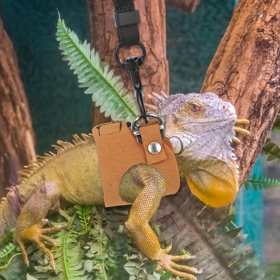 Bearded Dragon Leash and Harness Set