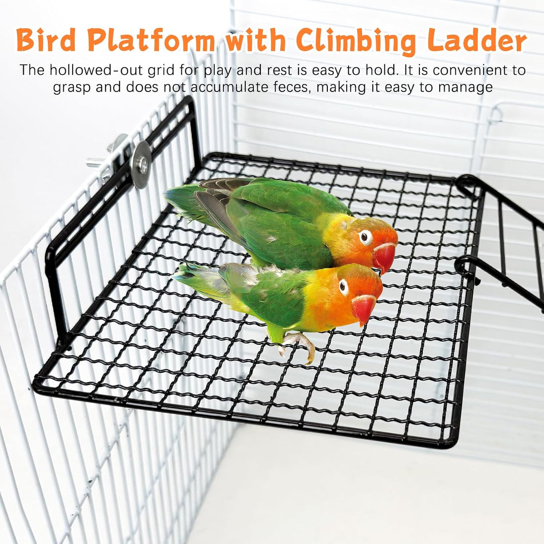 BNOSDM Stainless Steel Bird Cage Platform Climbing Ladder Parrot