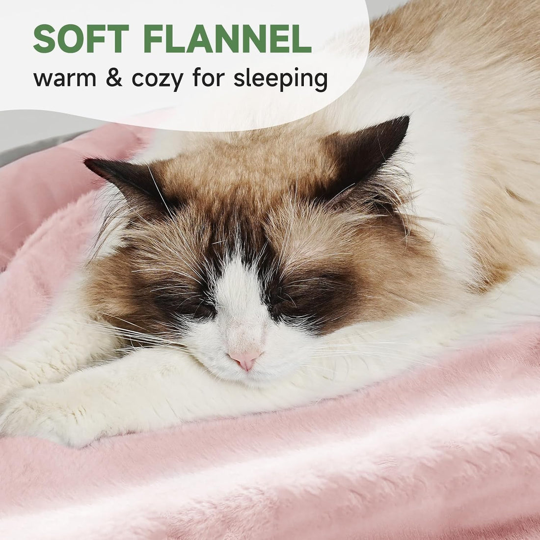 Cat Bed for Indoor Kitten Bed Washable