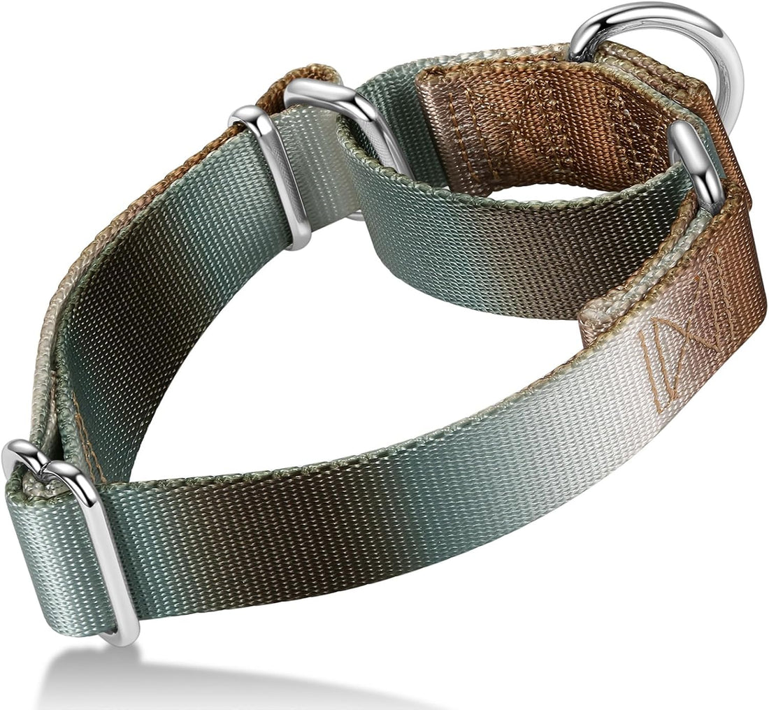 Martingale Dog Collar Colorful Gradient Fashionable