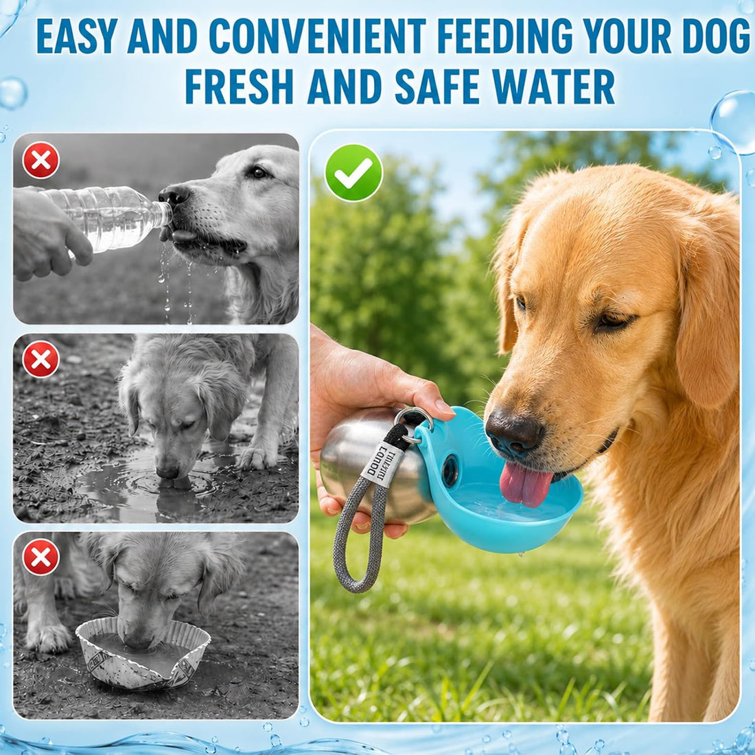 2 in 1 Portable Dog Water Bottle for Dogs,10oz Stainless Steel