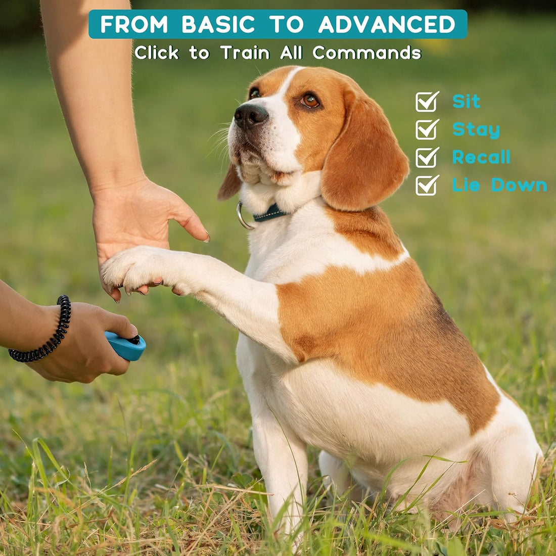 Pet Clicker for Dogs/Cats/Horses/Birds or Other Animals