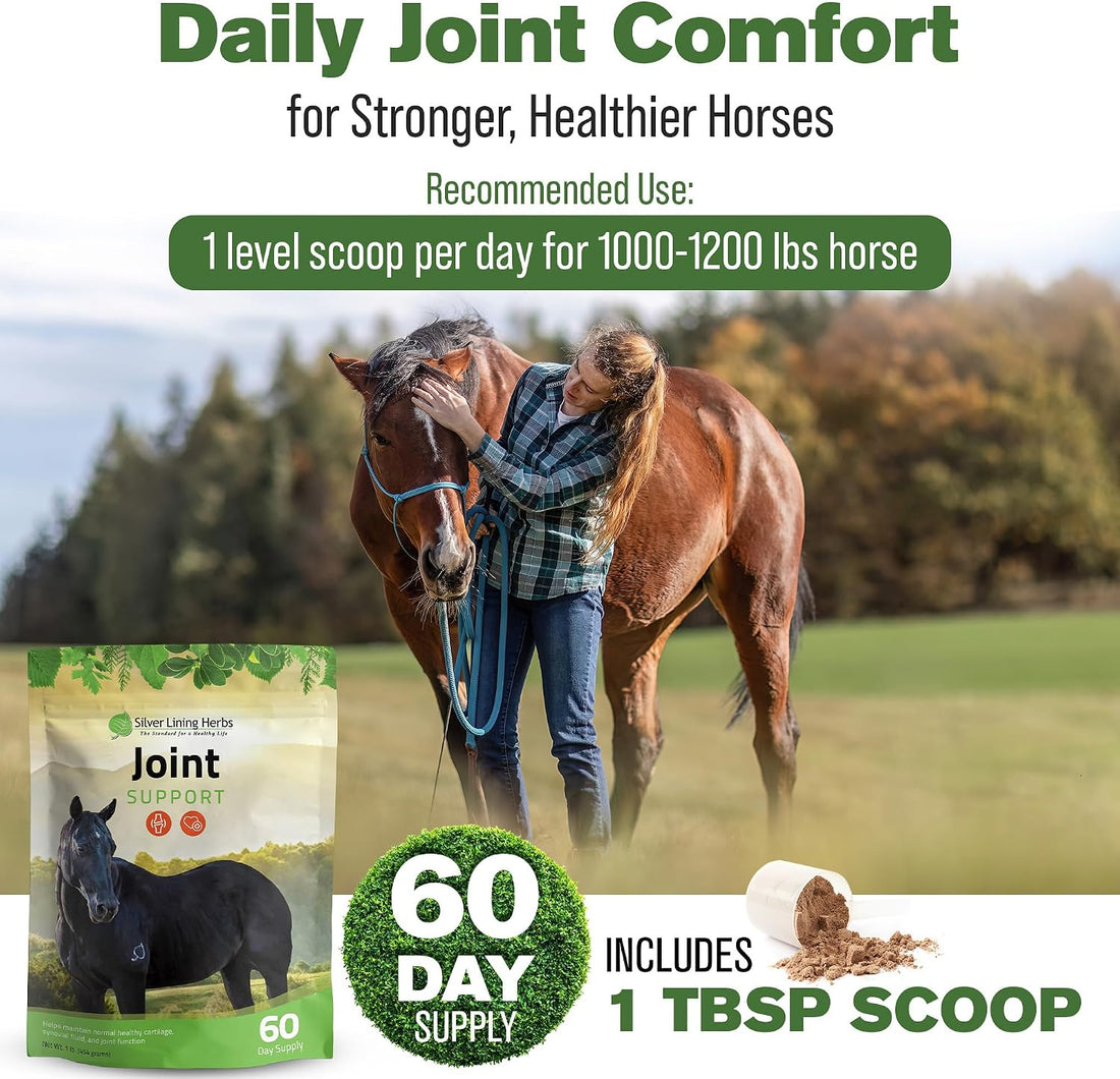 Silver Lining Herbs Horse Joint Supplement - Mobility & Comfort