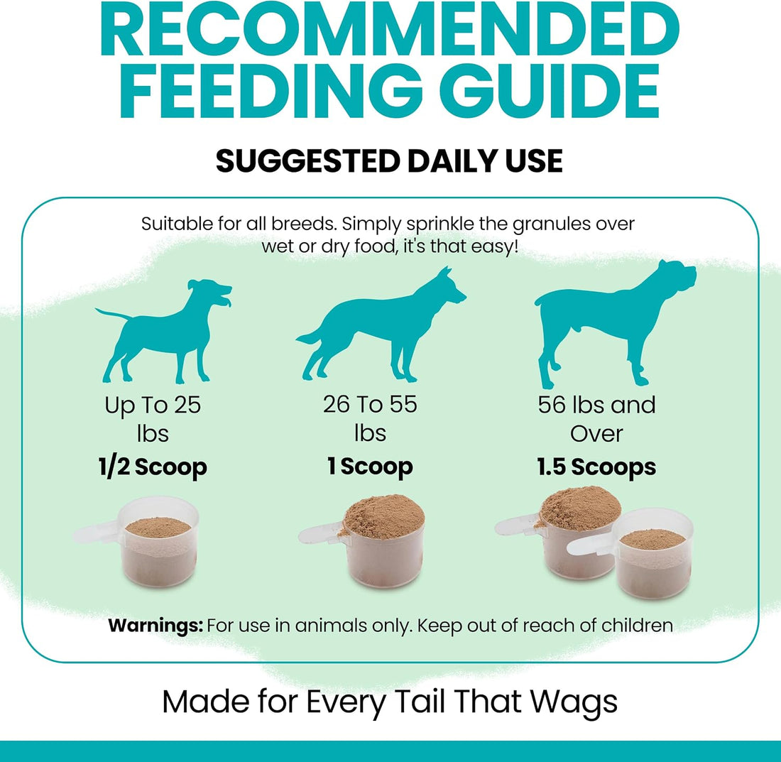 Organic Kelp Powder for Dogs
