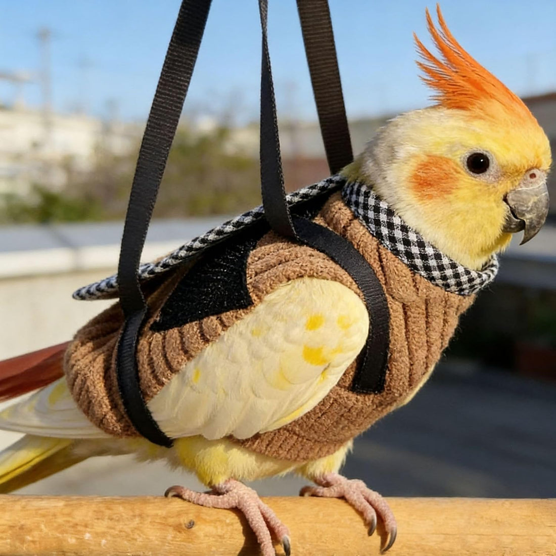 2Pcs Portable Bird Carrier Bag