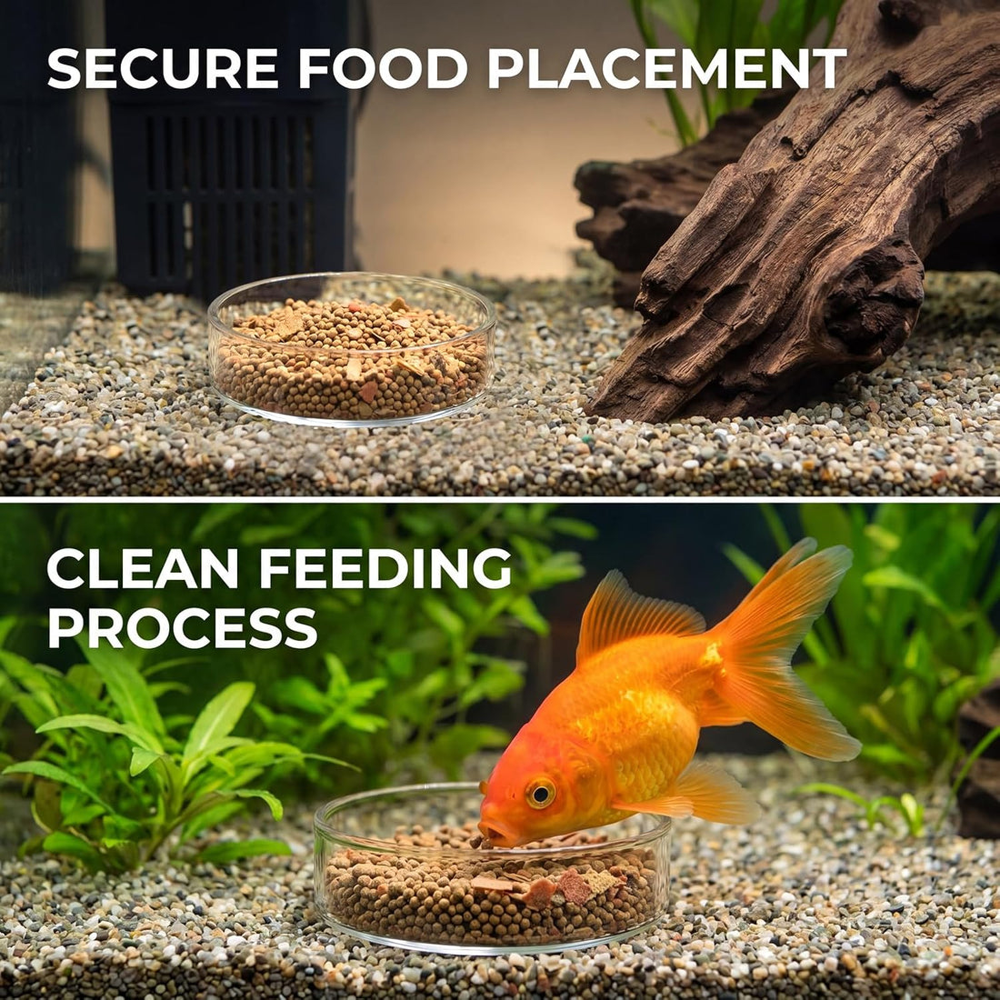 4 Pcs Shrimp Feeding Dish, Fish Tank Feeder 65mm and 85mm