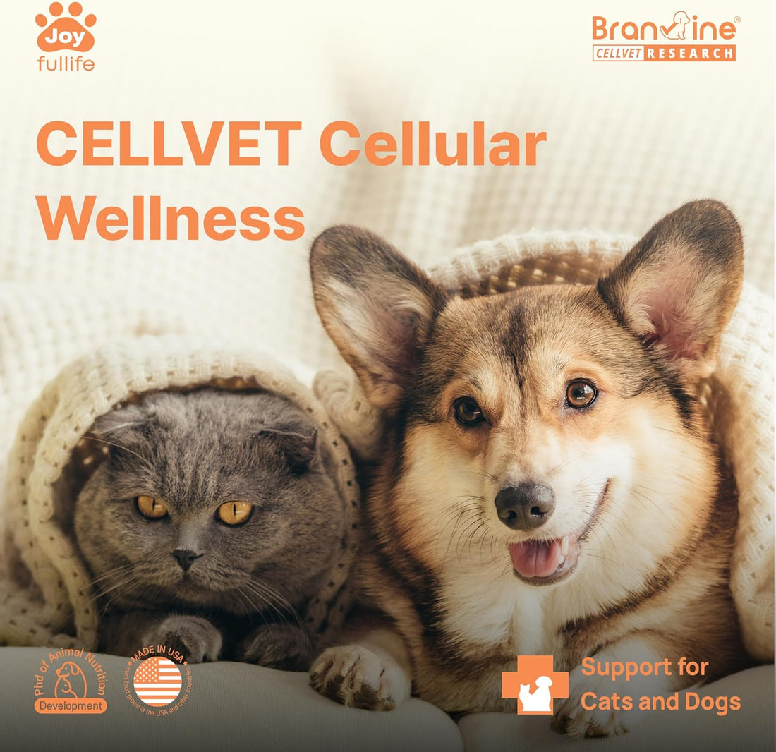 NAD+ CellVet Vitality Blend for Cats & Dogs – Cellular Resilience