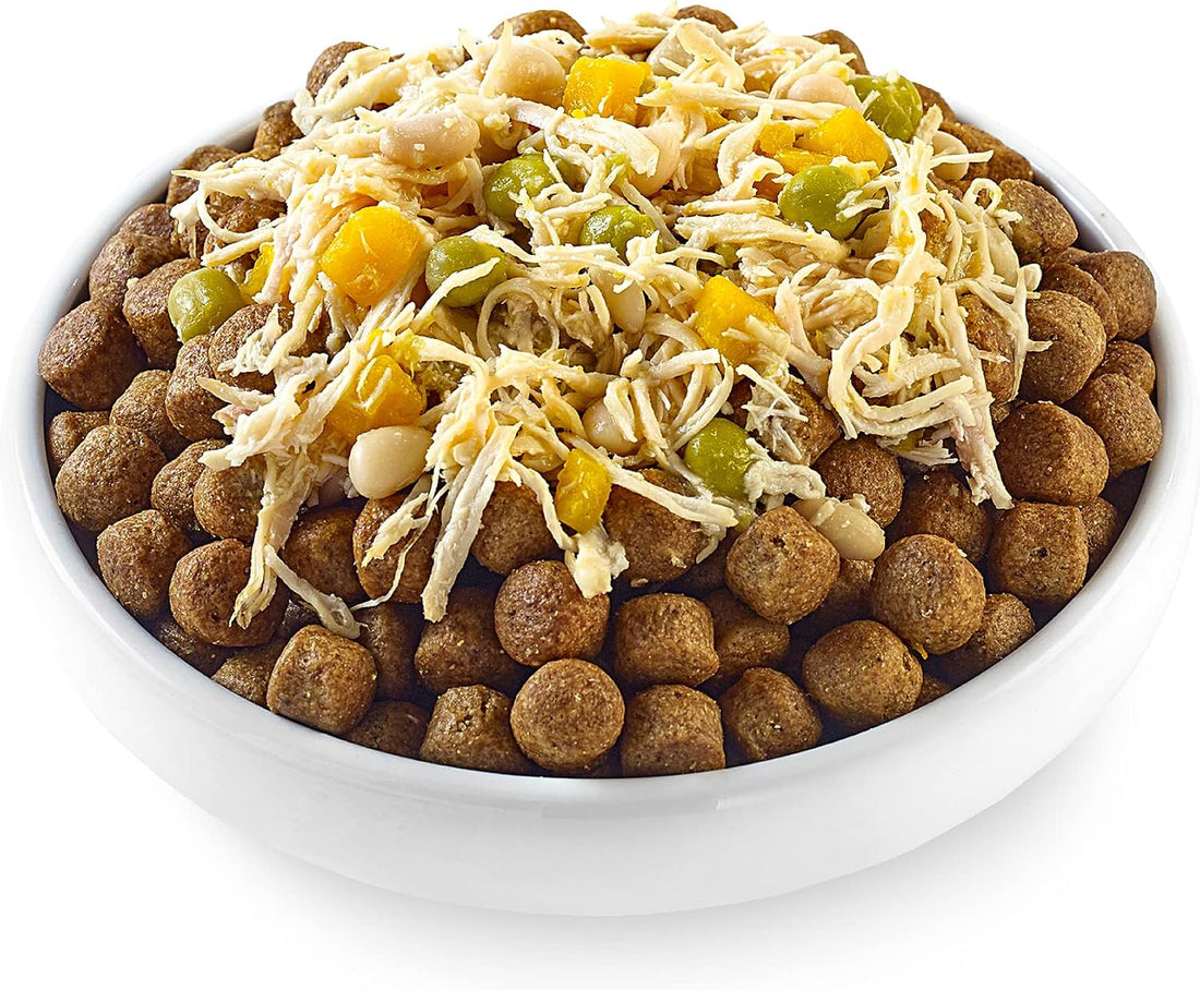 Applaws Taste Toppers Chicken in Gravy Wet Dog Food 12-Pack 3 oz
