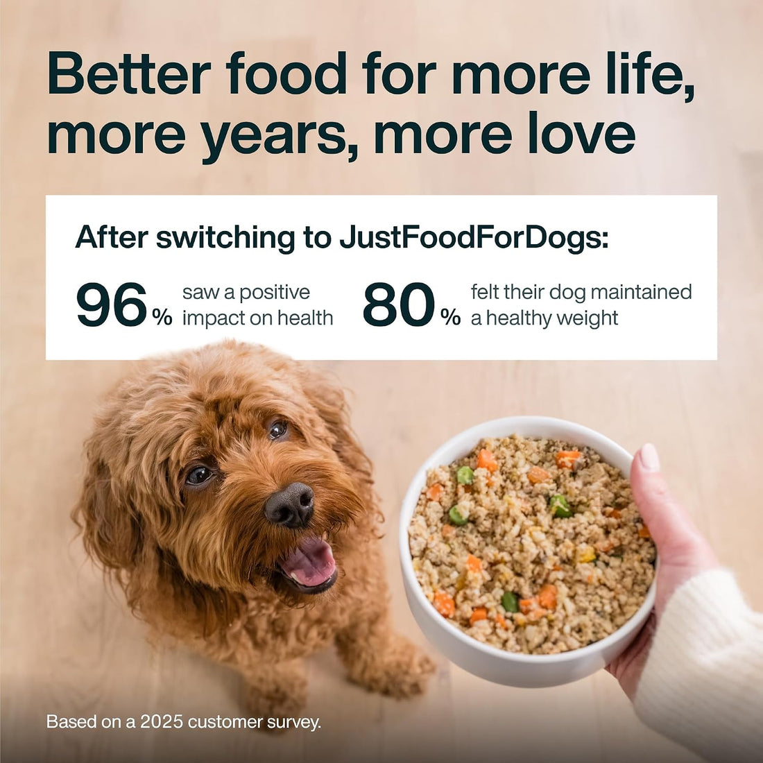 JustFoodForDogs Pantry Fresh Wet Dog Food Variety Pack