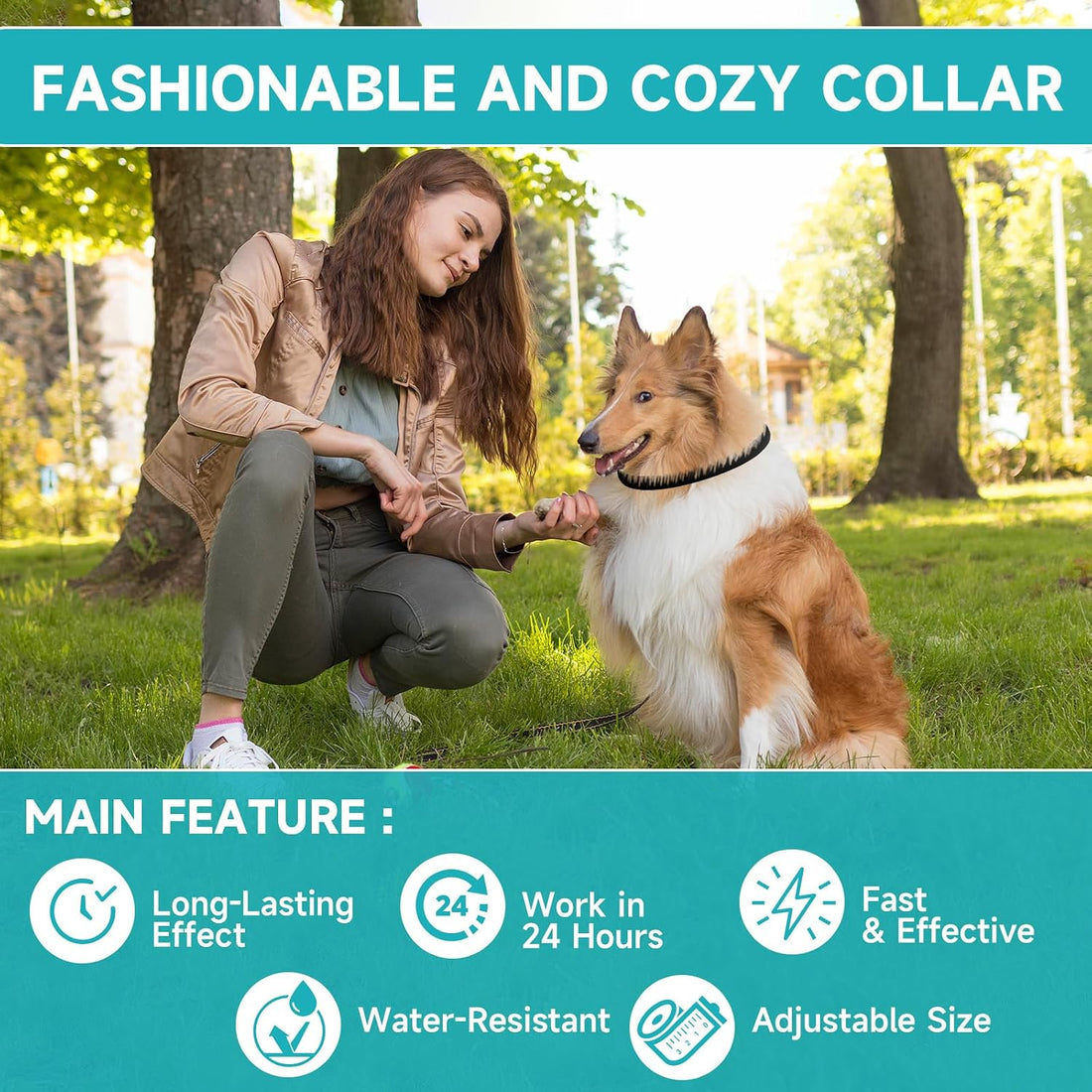 Flea and Tick Prevention for Dogs, 4-Pack Flea Collars