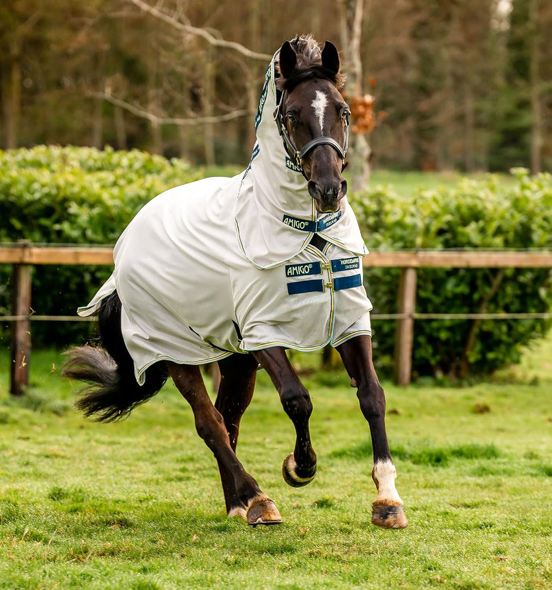 Horseware® Amigo® Bug Rug Fly Sheet 0g