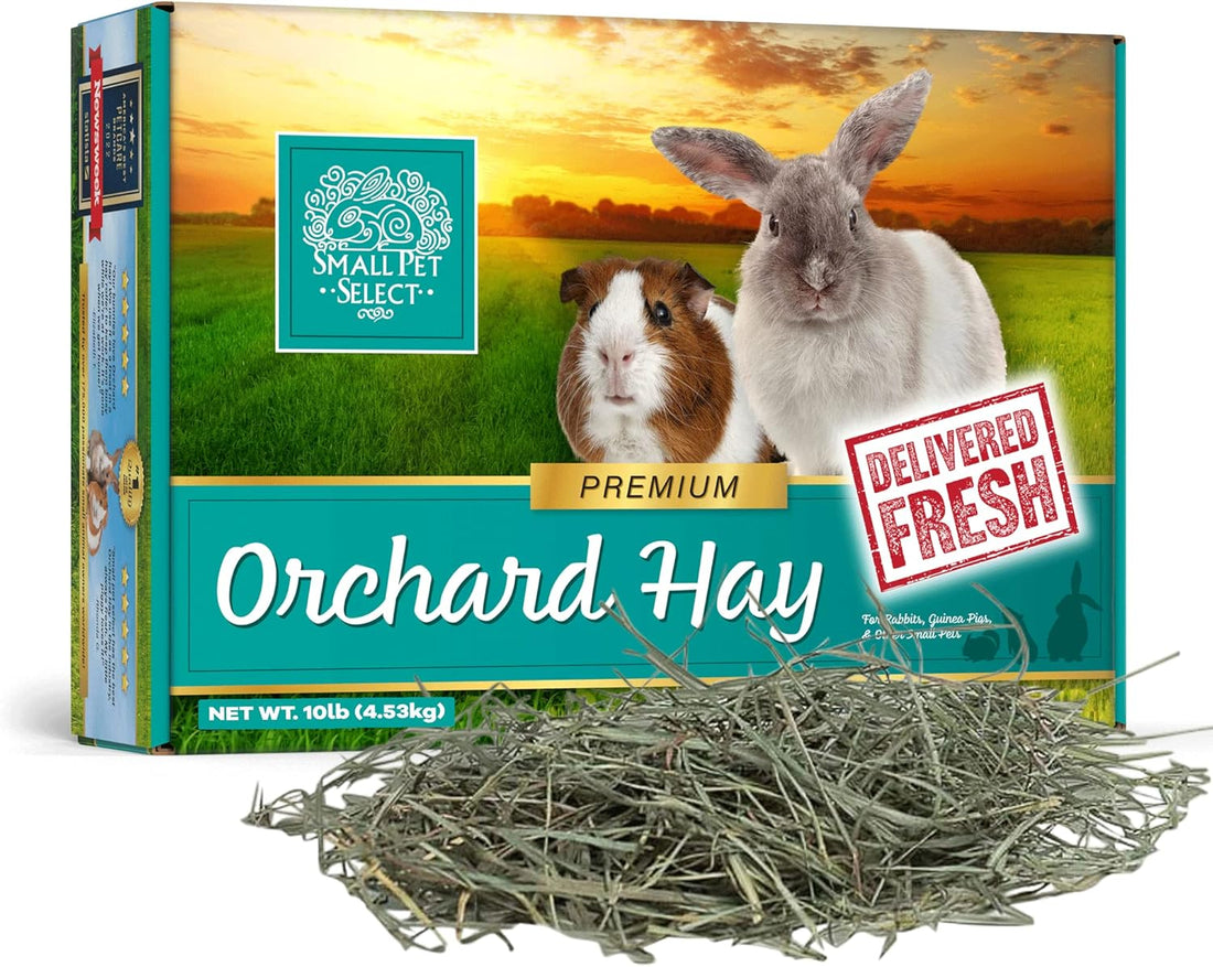Small Pet Select Orchard Grass Hay Pet Food for Rabbits, Guinea Pigs