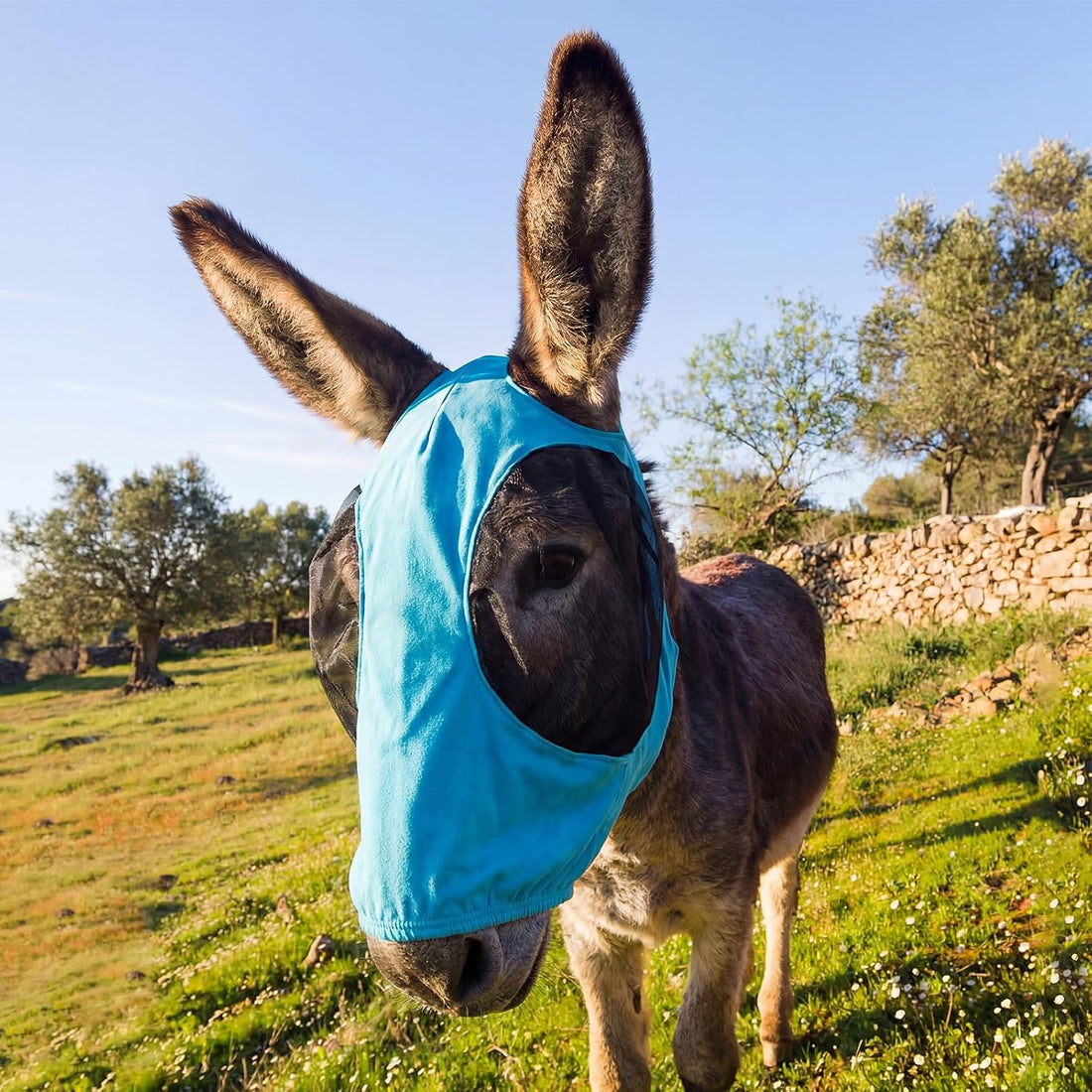Donkey Fly Mask, Breathable Mesh Eye Covers, Blue, Small, 1 Pcs