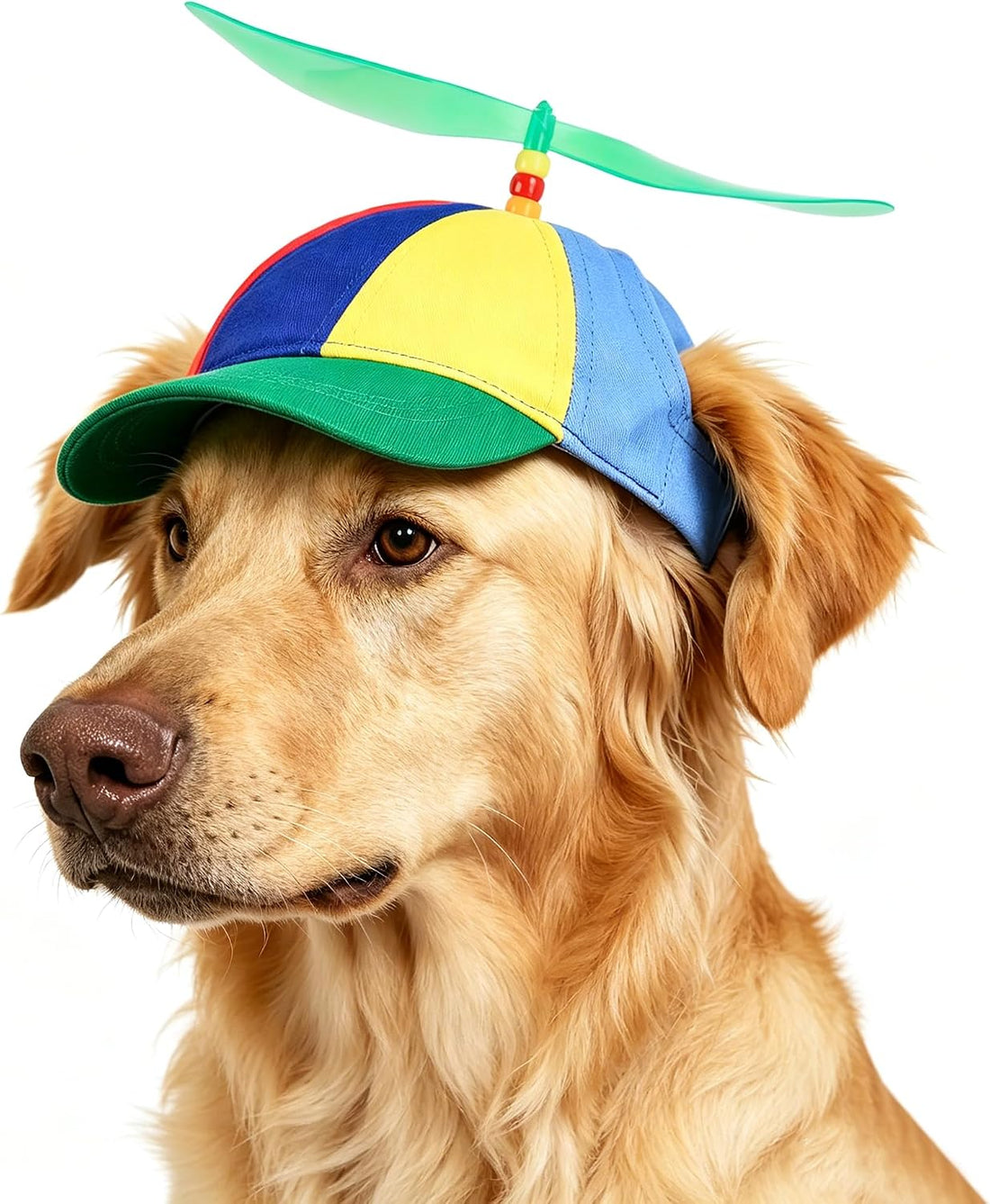 Propeller Baseball Cap for Big Dogs & Cats