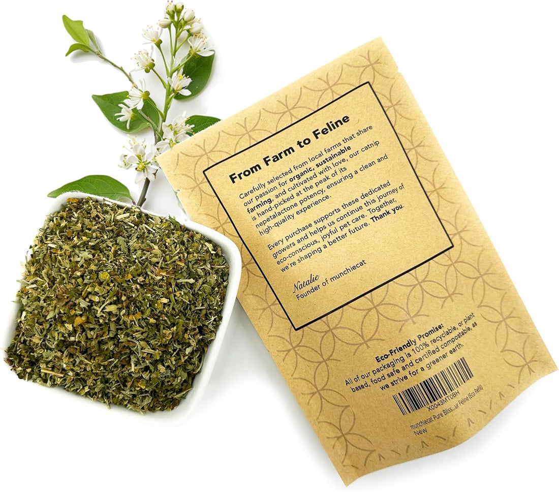 munchiecat Organic Catnip Refill