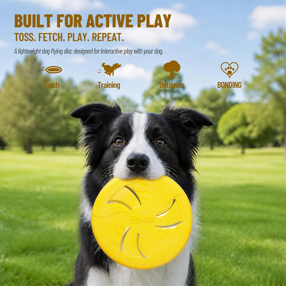 Dog Flying Disc, Flexible TPR Dog Fetch Toy, 9.06 inch