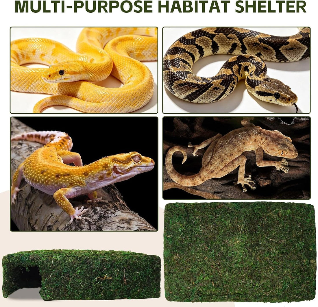 L Size Green Moss Cave Hide, Reptile Shelter for Gecko Snake