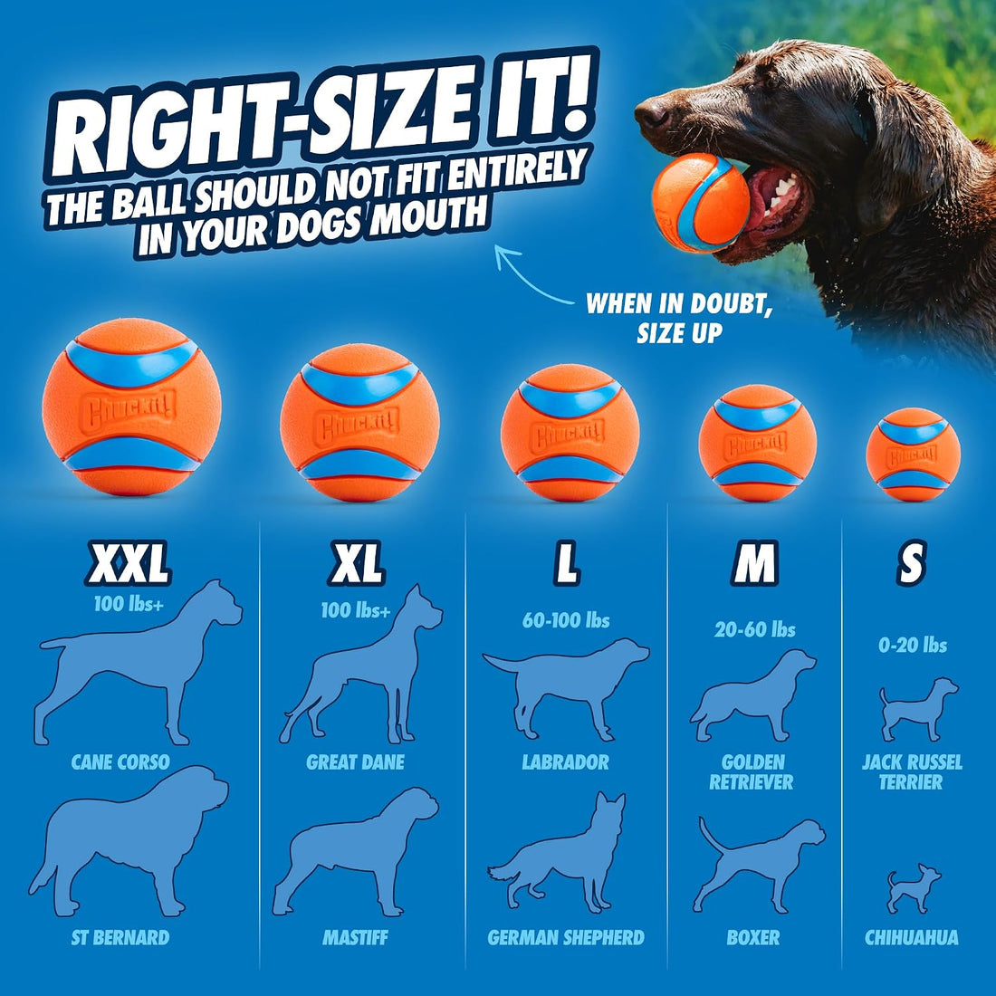 Chuckit! Dog Ball Launcher 12M Sport with 12" Handle Length