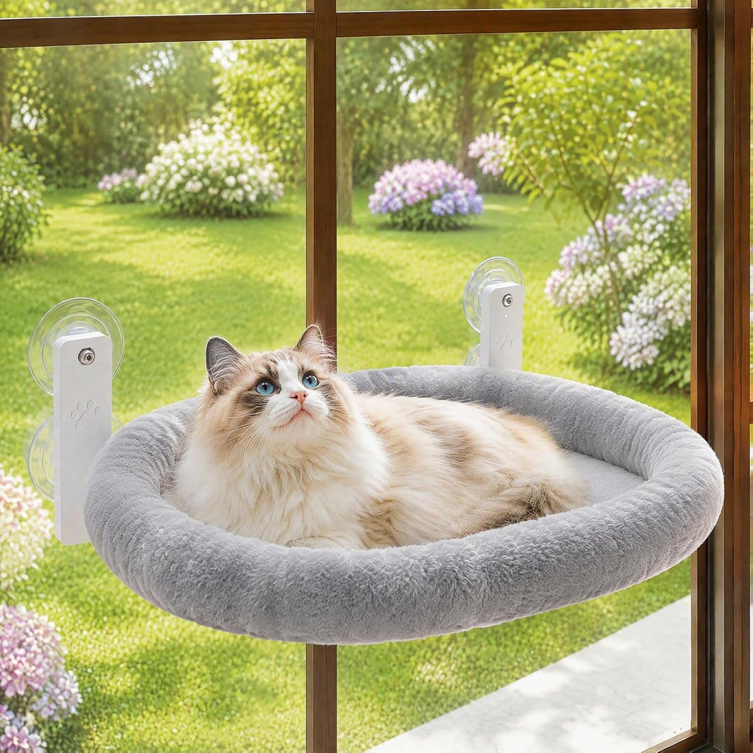 Foldable Cat Window Perch, Cordless Hammock for Large Cats