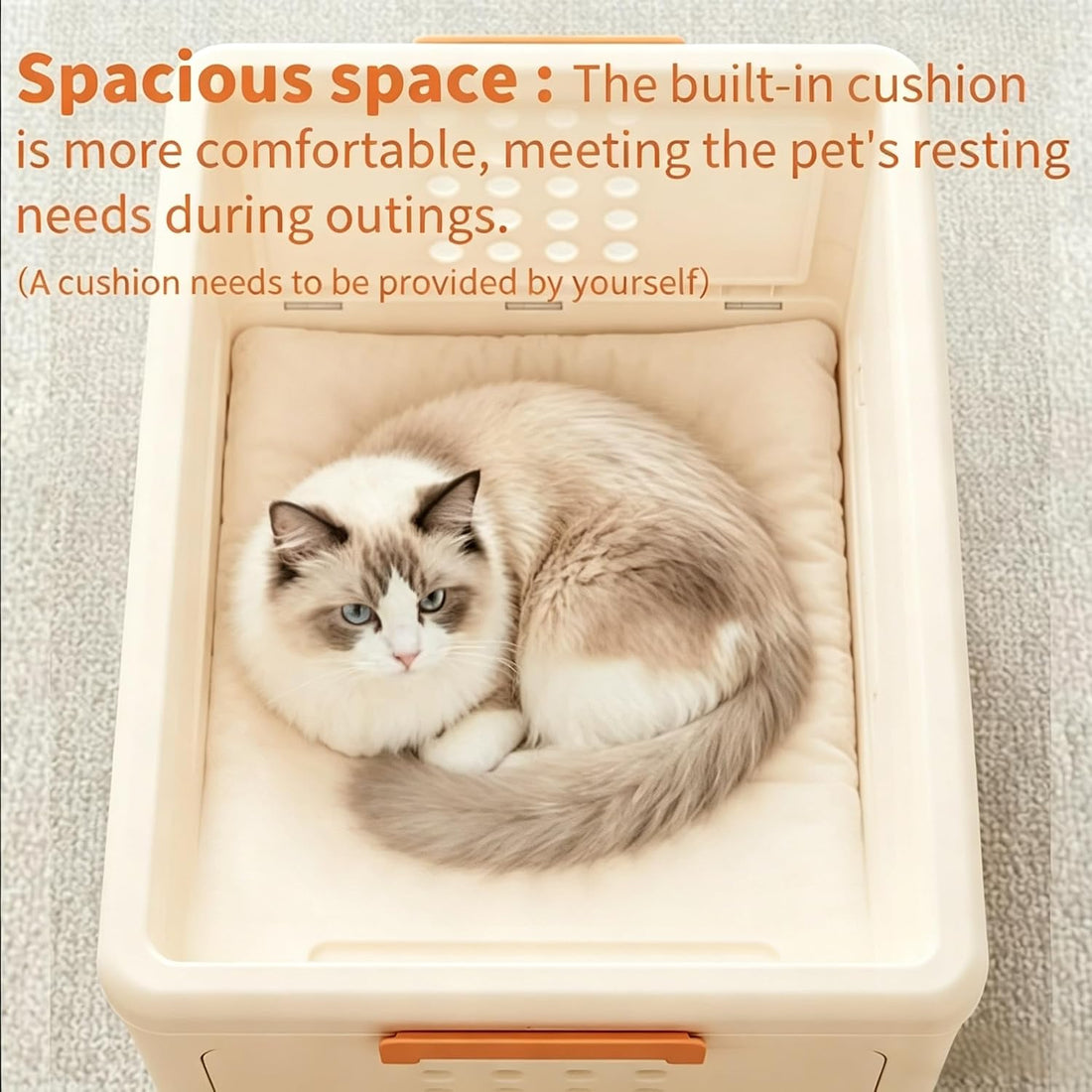 Pet Carrier for Cat & Dog,19-in Collapsible Cat Carrier Hard,Portable