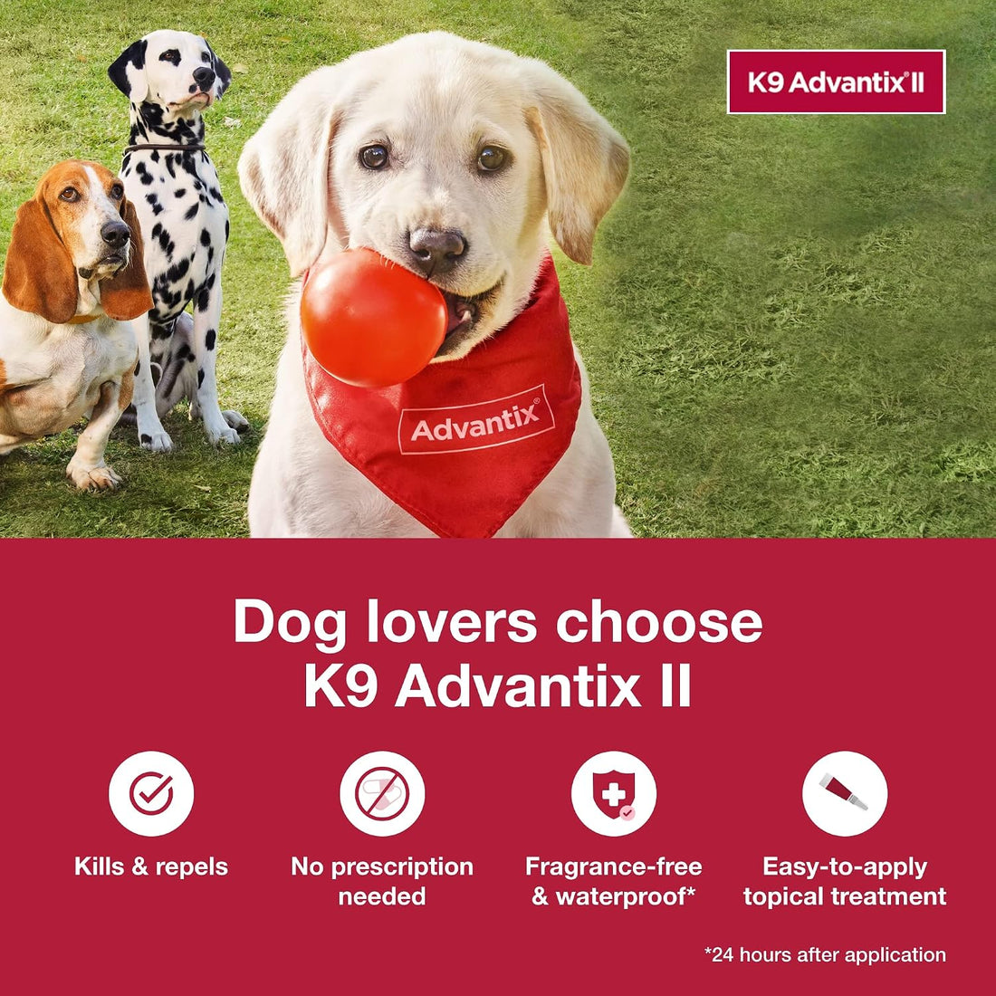 K9 Advantix II XL Dog Vet-Recommended Flea