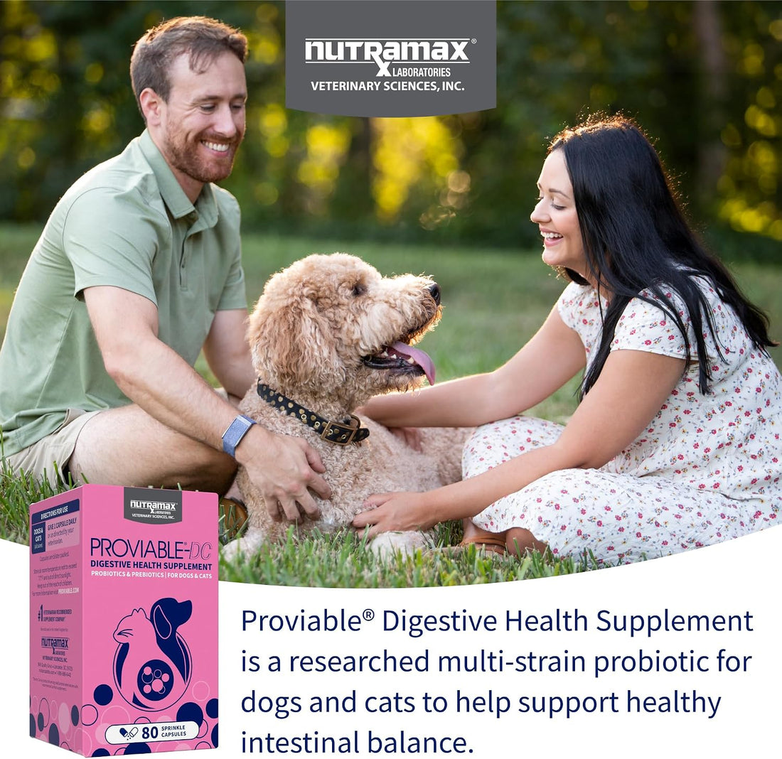 Nutramax Proviable Probiotics for Dogs & Cats