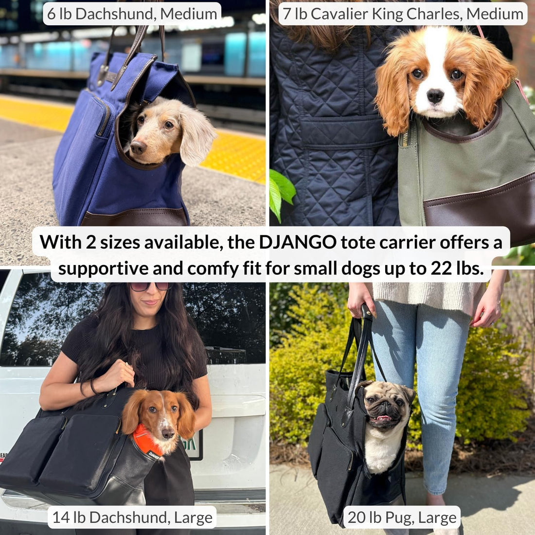 DJANGO Dog Carrier Tote Bag for Small Dogs, Supportive Base - Navy
