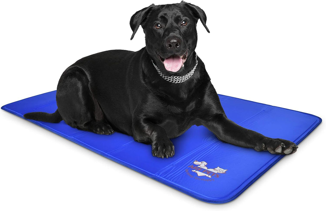 Arf Pets Dog Cooling Mat - Solid Gel Self-Cool Pad