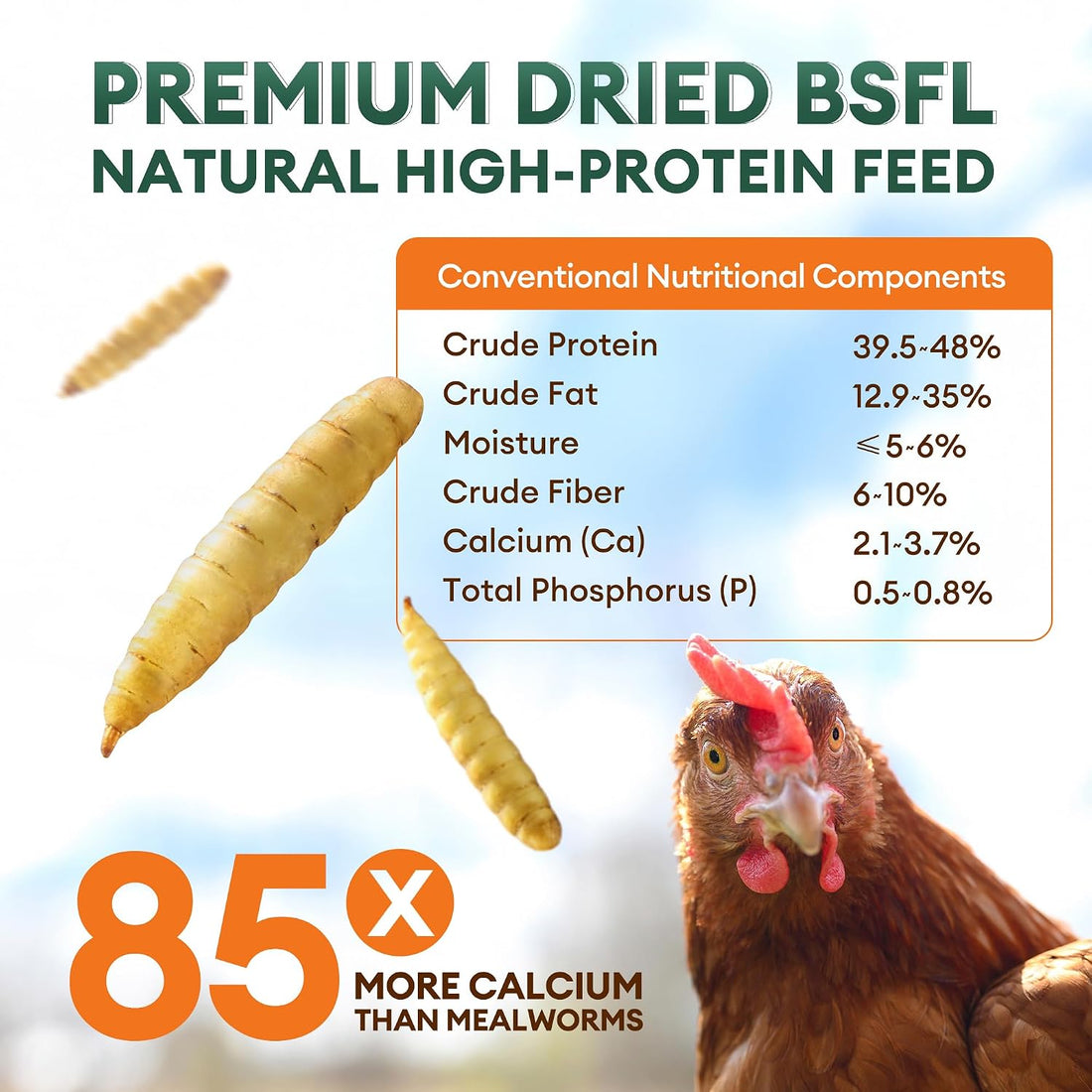 BUCATSTATE Dried Black Soldier Fly Larvae for Chickens and Ducks