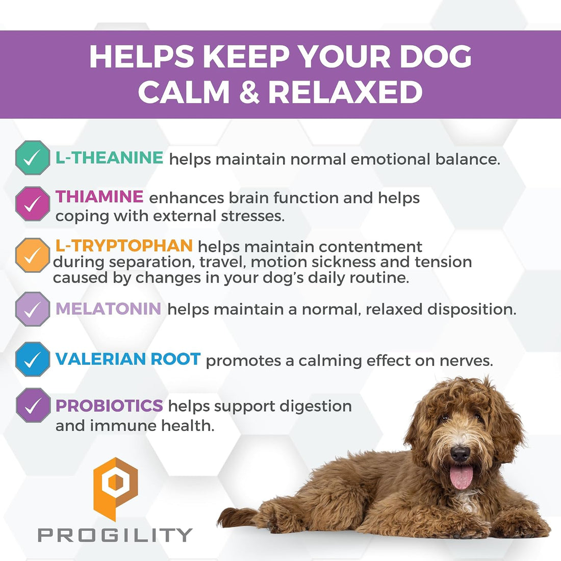 Nootie Progility Dog Calming Supplement for Stressful Situations