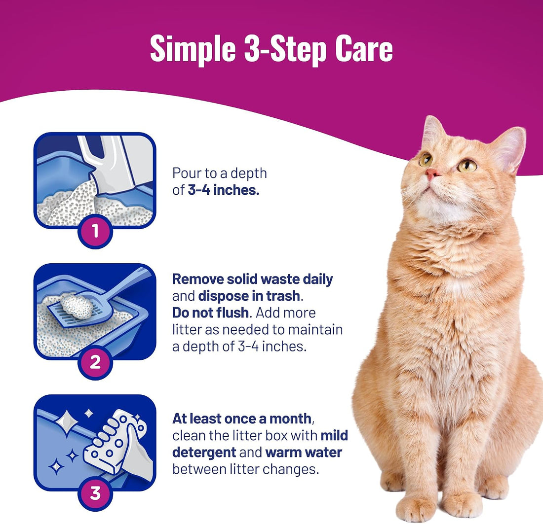 Cat's Pride Clumping Cat Litter – Scented & Unscented