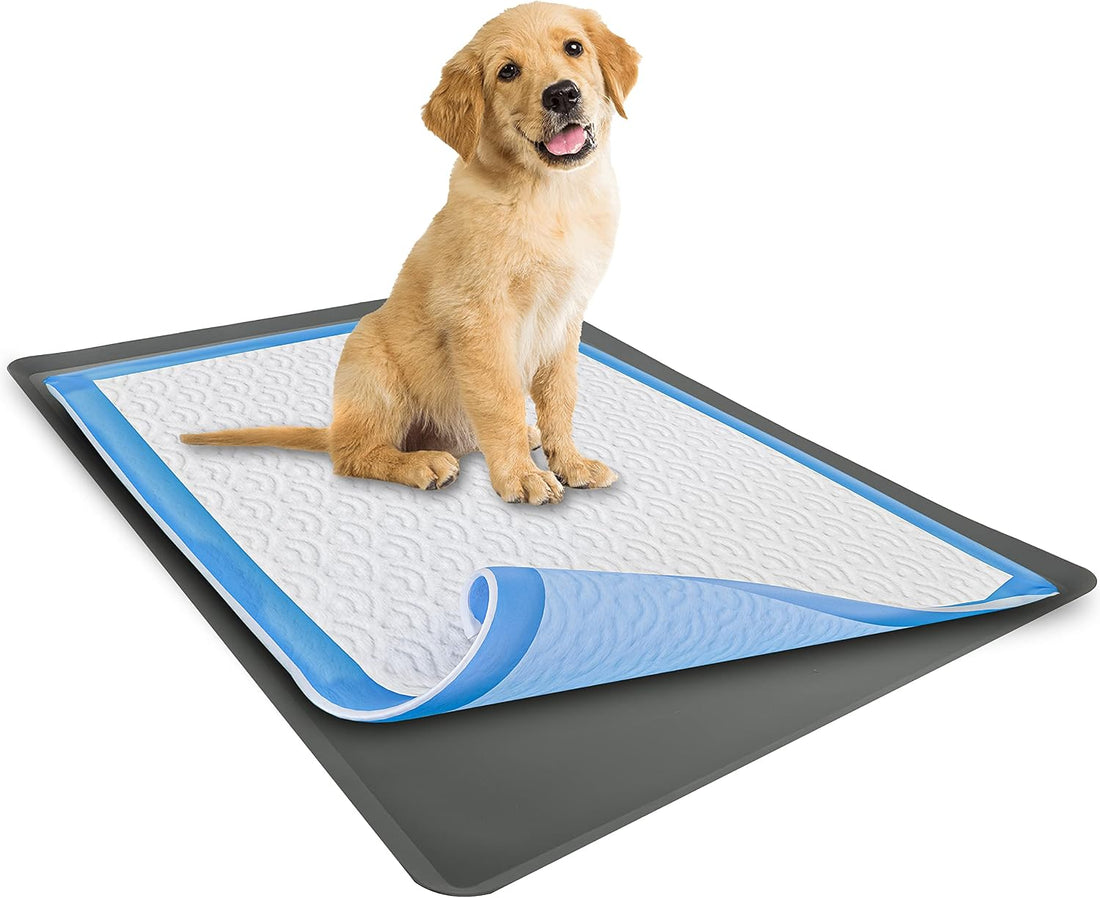 Dog Pee Pad Holder - Fits Up to 28” x 30” Pee Pad - 1 Pack