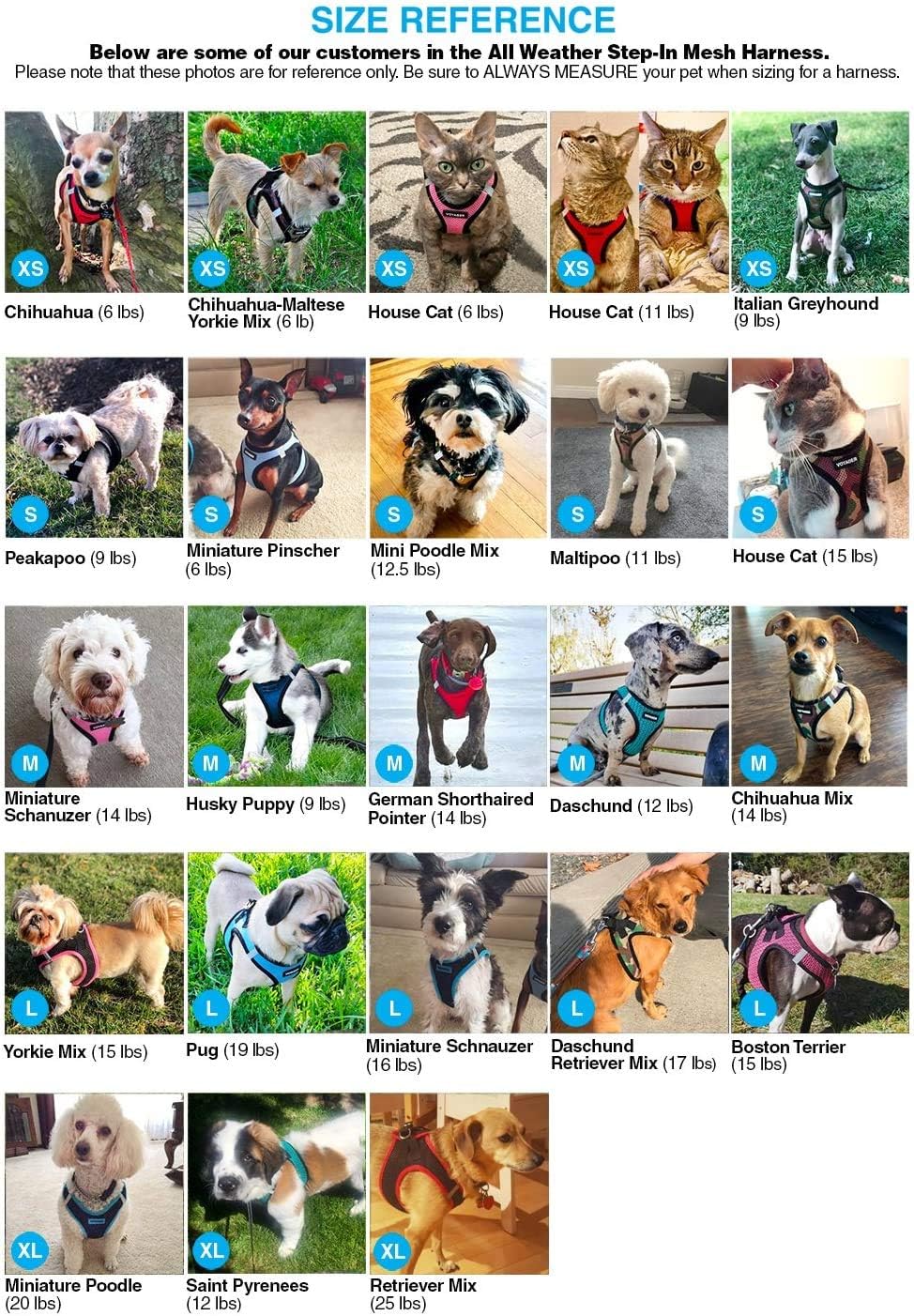 Best Pet Supplies - All Weather Mesh / Plush, Reflective