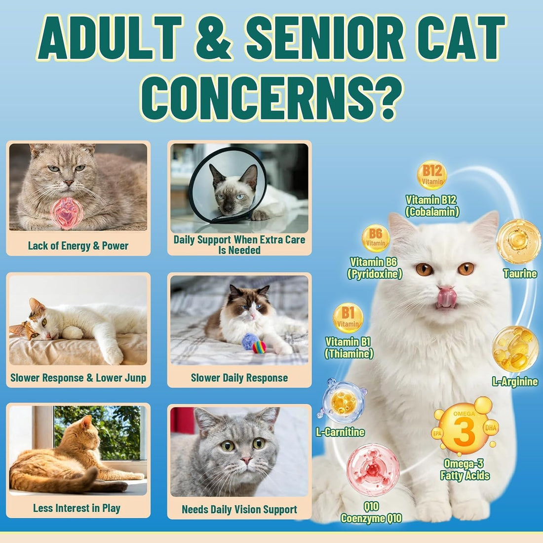 Taurine for Cats, CoQ10 for Cats
