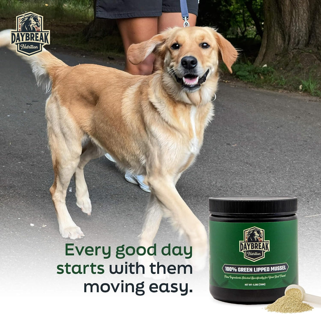 Pure Green Lipped Mussel Powder for Dogs and Cats