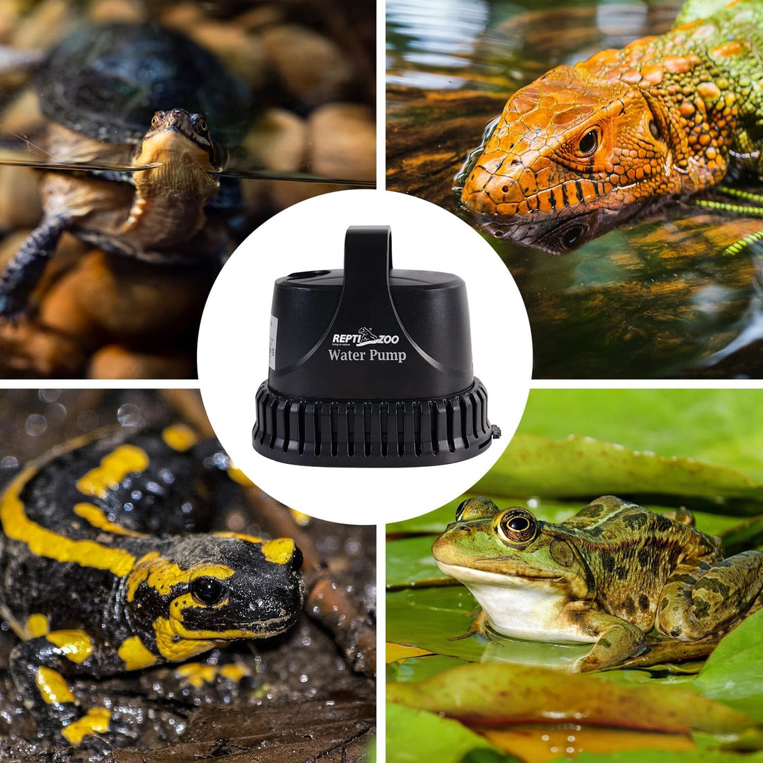 REPTIZOO Low Water Level Drain Pump