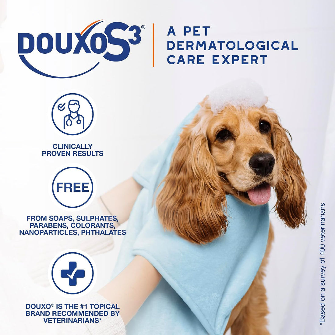 Douxo S3 PYO Chlorhexidine Shampoo & Mousse for Dogs