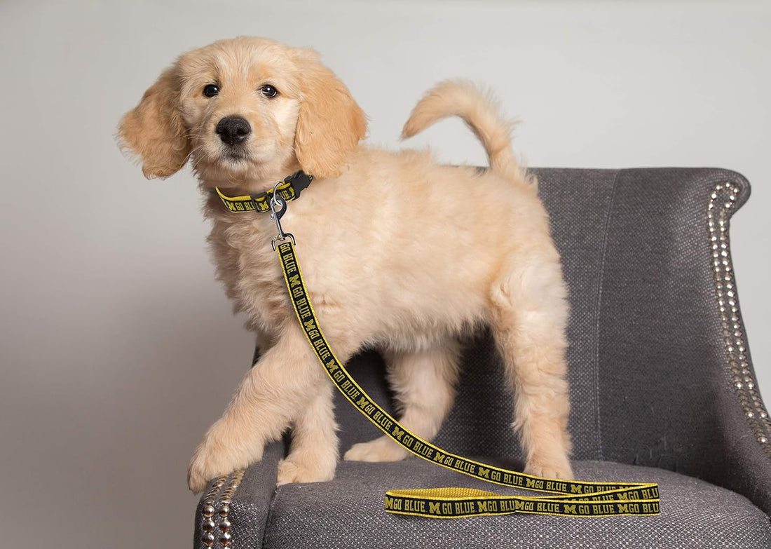 NCAA PET Leash, Large, Michigan Wolverines, Dog Leash