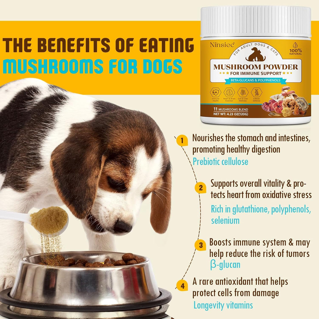 Mushroom Supplement Powder for Dogs & Cats