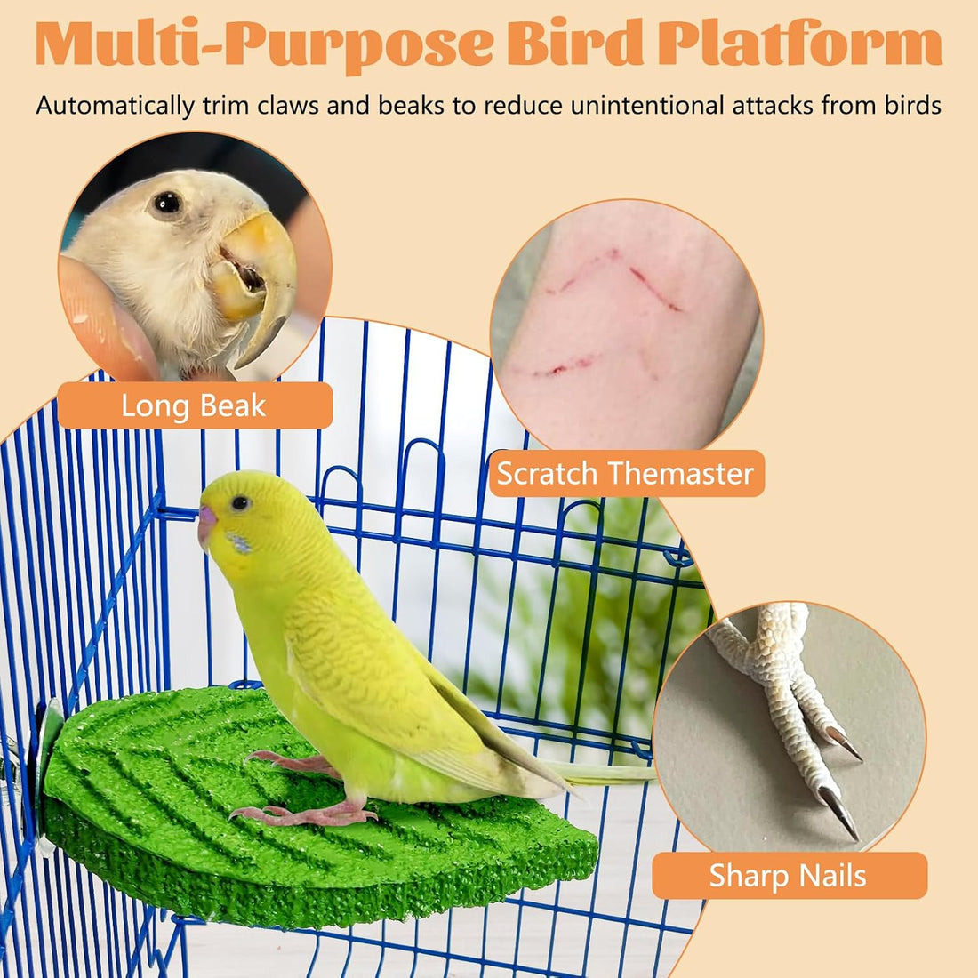 3 Pcs Parrot Perch Resin Bird Beak Grinding Stone