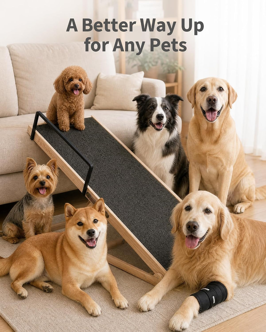 Dog Ramp for Large Dogs, 6 Adjustable Heights, Upgraded Anti-Slip