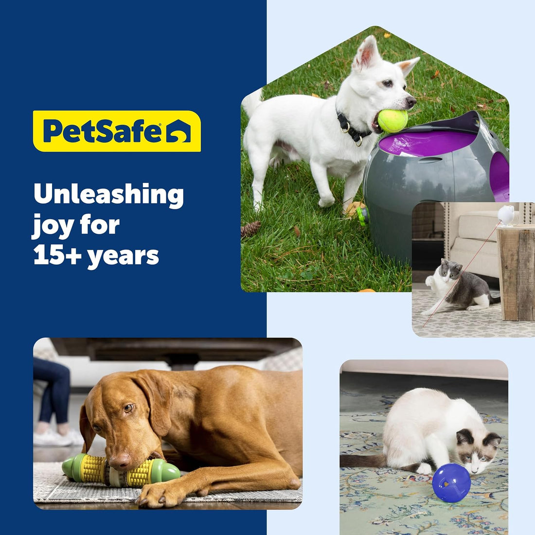 PetSafe Busy Buddy Bristle Bone Dog Chew Toy