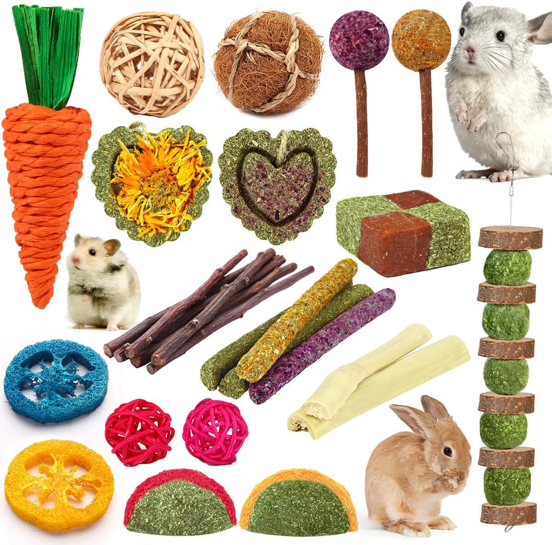 YIXUND Rabbit & Guinea Pig Toys