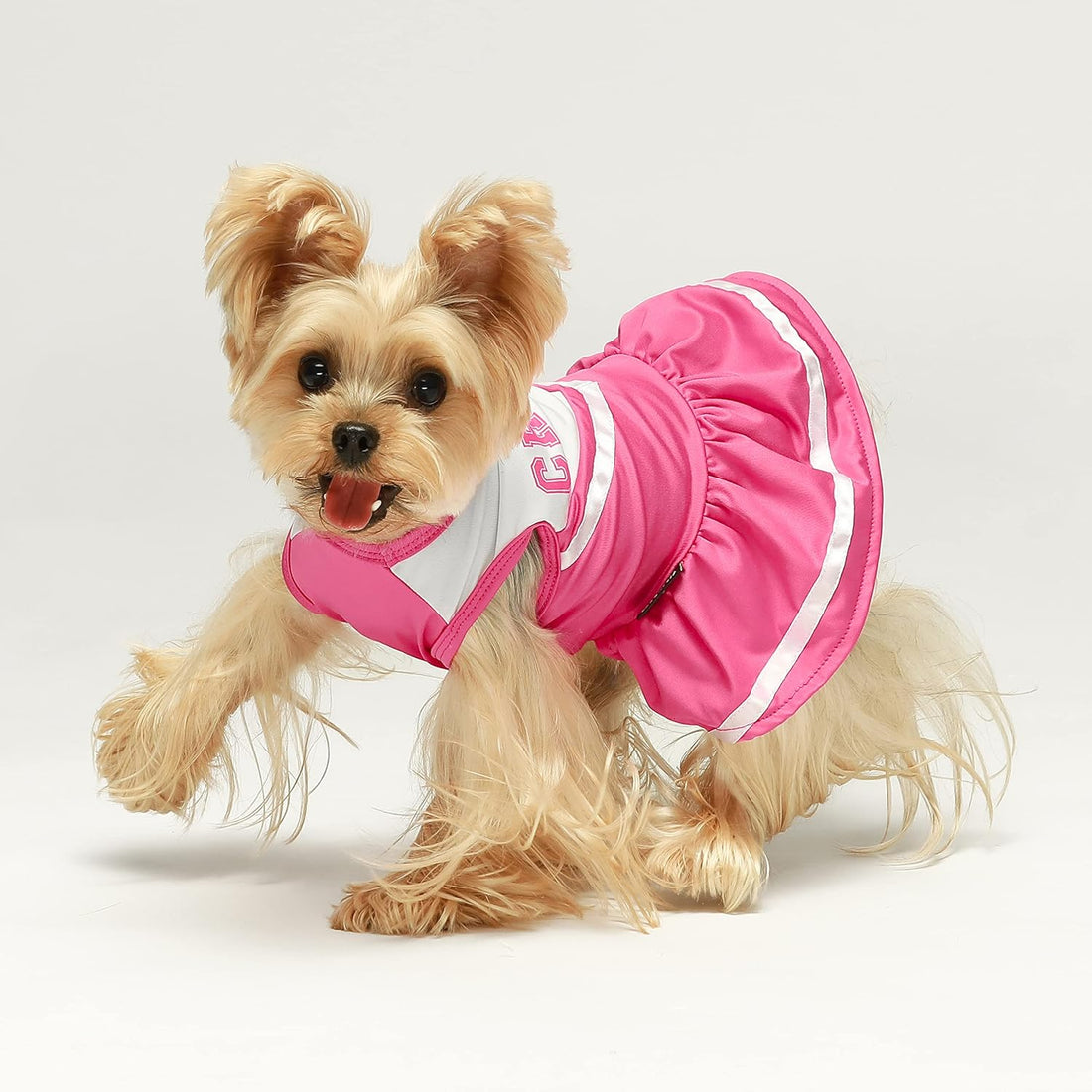 Fitwarm Cheerleader Dog Costume