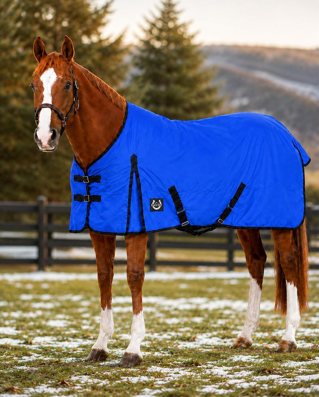Horse Blanket 600D Ripstop Winter Turnout Blanket, 250 GSM Polyfill