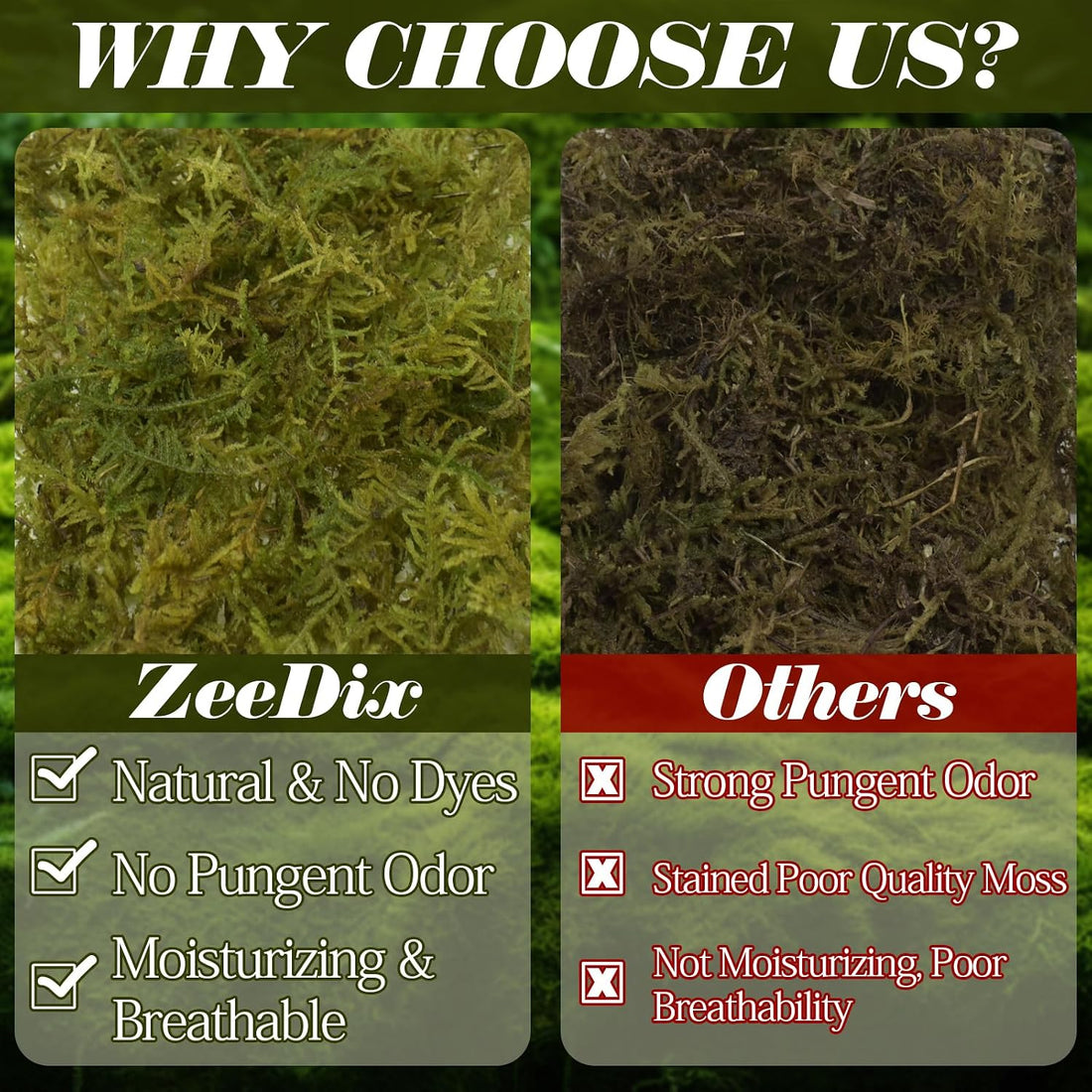 ZeeDix 8 OZ Premium Sphagnum Moss for Reptiles