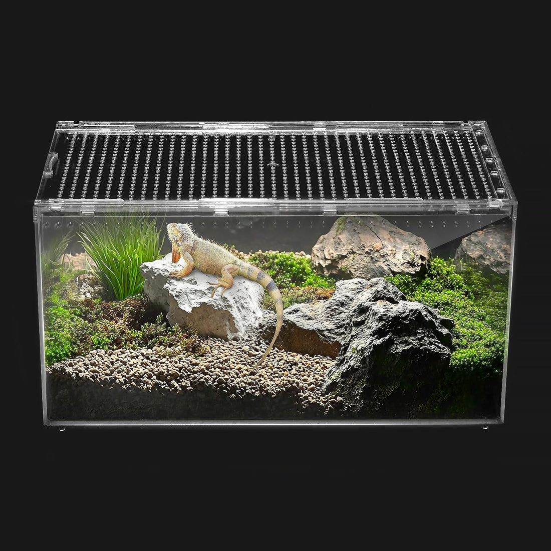 Reptile PC Tank,Escape Proof Magnetic Lid Tarantula Enclosure Large