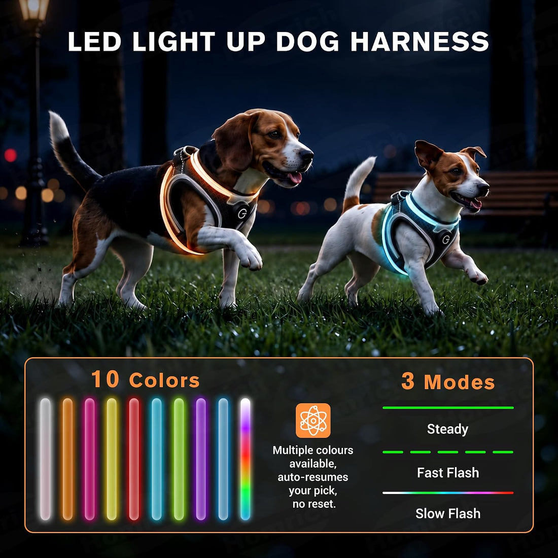 LED Dog Harness for Small Dogs Nighttime Safety Walks